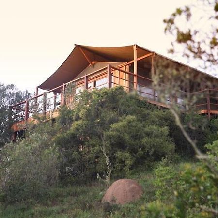 Addo Elephant Lodge & Safaris Kirkwood Exterior photo