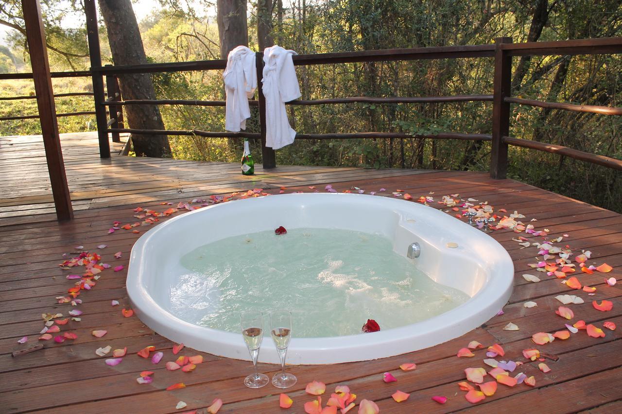 Addo Elephant Lodge & Safaris Kirkwood Exterior photo