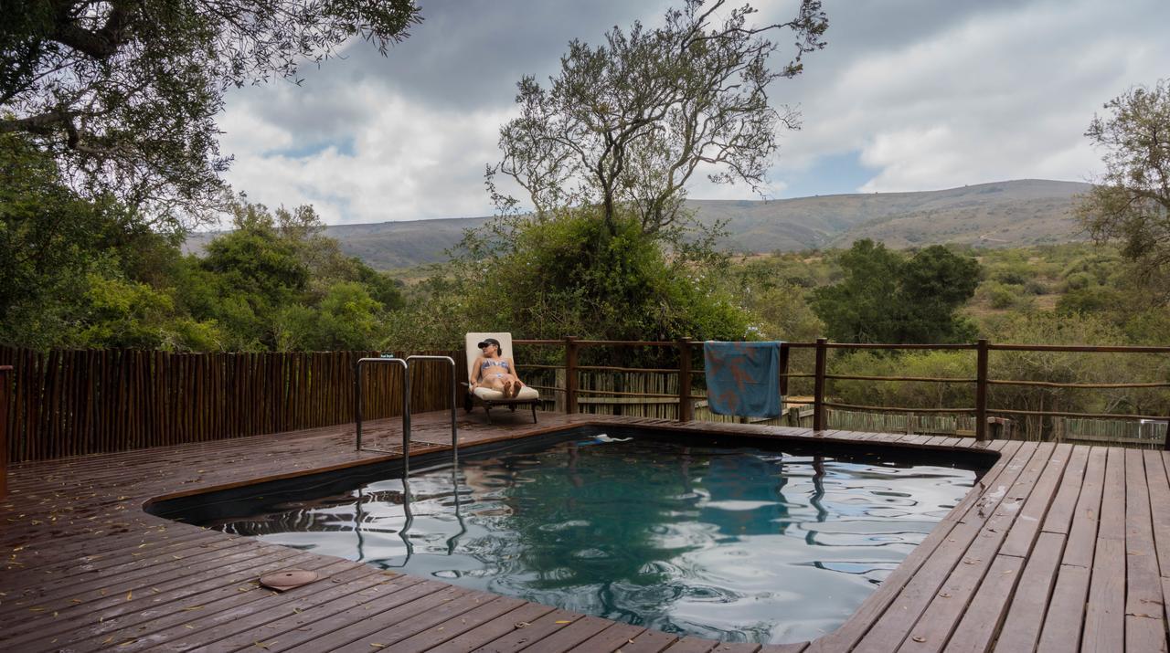 Addo Elephant Lodge & Safaris Kirkwood Exterior photo